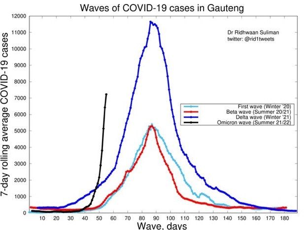 Case counts of Omicron in Gauteng