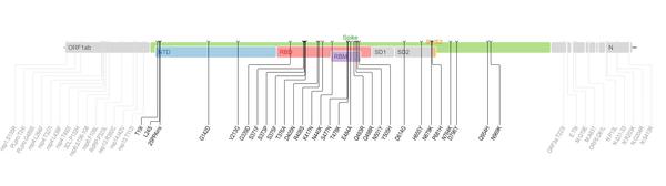 Mutation map of Omicron Variant